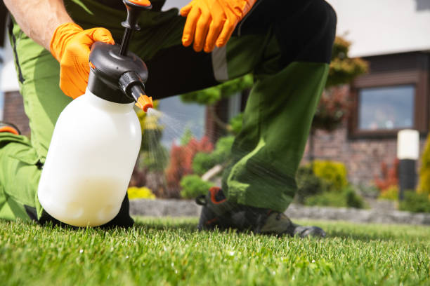 Best Exterminator Services  in Oconto, WI